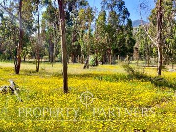 Hermosa parcela de 10.300 m/2 en Condominio La Foresta de Zapallar