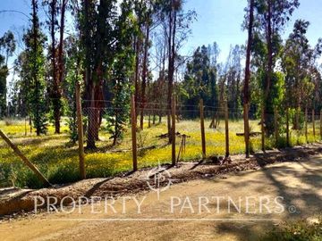 Hermosa parcela de 10.300 m/2 en Condominio La Foresta de Zapallar