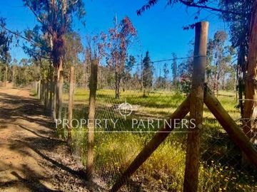 Hermosa parcela de 10.300 m/2 en Condominio La Foresta de Zapallar
