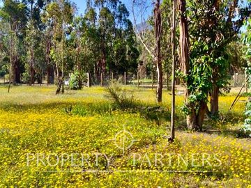 Hermosa parcela de 10.300 m/2 en Condominio La Foresta de Zapallar