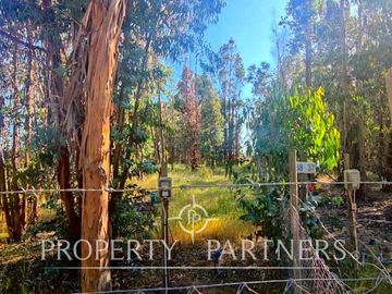 Hermosa parcela de 10.300 m/2 en Condominio La Foresta de Zapallar