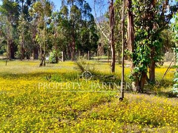 Hermosa parcela de 10.300 m/2 en Condominio La Foresta de Zapallar