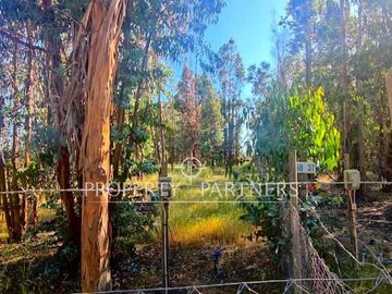Hermosa parcela de 10.300 m/2 en Condominio La Foresta de Zapallar