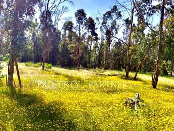 Hermosa parcela de 10.300 m/2 en Condominio La Foresta de Zapallar