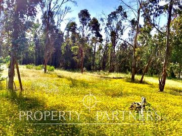 Hermosa parcela de 10.300 m/2 en Condominio La Foresta de Zapallar