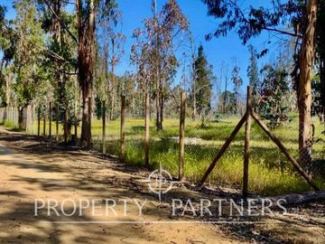 Hermosa parcela de 10.300 m/2 en Condominio La Foresta de Zapallar