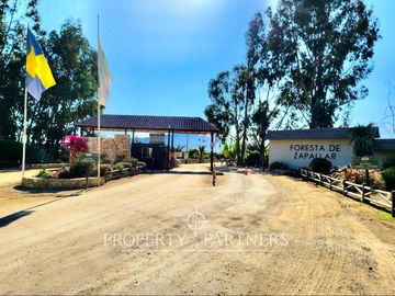 Hermosa parcela de 10.300 m/2 en Condominio La Foresta de Zapallar