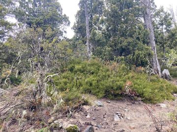 Terreno Ladera Norte - Cerro Otto - San Carlos de Bariloche -1320 m2