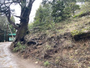 Terreno Ladera Norte - Cerro Otto - San Carlos de Bariloche -1320 m2