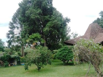 Venta Casa Quinta 4 dormitorios - Gral. Rodríguez - Bs. As.