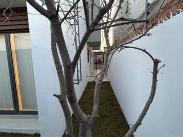 LOMAS DEL MOLINO