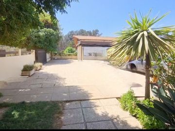 Algarrobo, Canelo ,Canelillo Valle Verde