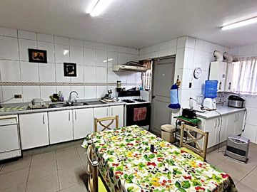 Algarrobo, Canelo ,Canelillo Valle Verde