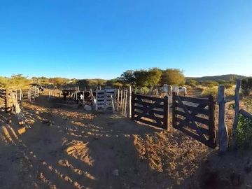 Sector Turístico y Ganadero de 180h con Casa de 3 Amb. Cerca del Rio
