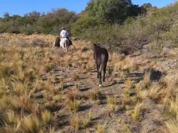Sector Turístico y Ganadero de 180h con Casa de 3 Amb. Cerca del Rio