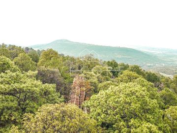 CABAÑA EN VENTA EN SIERRA ENCANTADA, MAZAMITLA