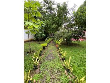 VENTA DE CASA CON 3 CABAÑAS EN CORONADO 2.800 MTS YL