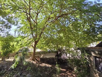 Casa en Cuncunul