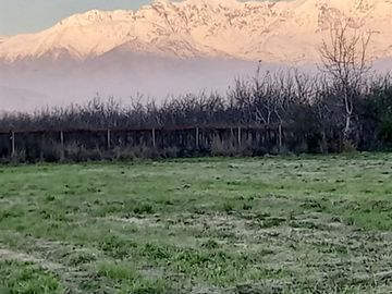Terreno Construccion  en Venta en REBAJADA OPORTUNDAD UNICA !!! TERRENO DE INMENSA PLUSVALIA EN RINCONADA LOS ANDES, CARRETERA SAN MARTIN
