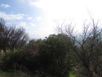 Parcela 5000 m2 reserva ecologica ,Ocoa, Hijuelas