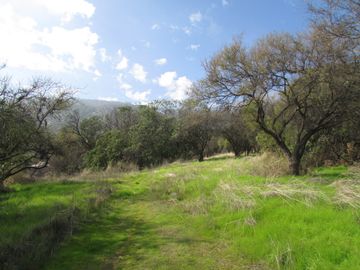 Parcela 5000 m2 reserva ecologica ,Ocoa, Hijuelas