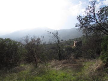 Parcela 5000 m2 reserva ecologica ,Ocoa, Hijuelas