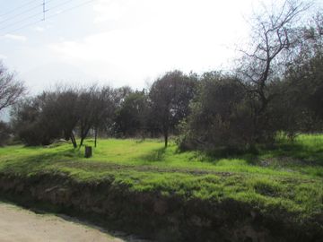 Parcela 5000 m2 reserva ecologica ,Ocoa, Hijuelas