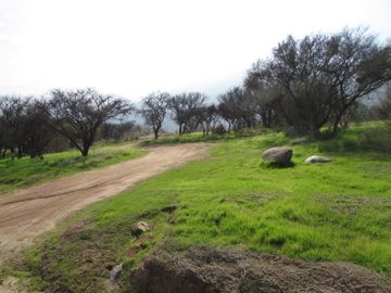 Parcela 5000 m2 reserva ecologica ,Ocoa, Hijuelas