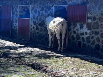 EXCELENTE RANCHO A SÓLO 40 MIN DE LA CDMX