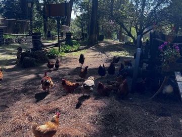 EXCELENTE RANCHO A SÓLO 40 MIN DE LA CDMX