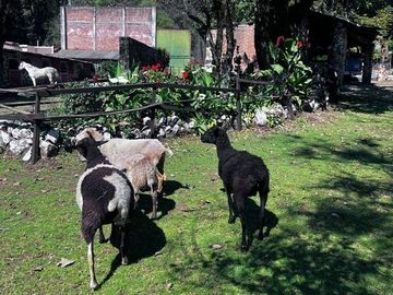 EXCELENTE RANCHO A SÓLO 40 MIN DE LA CDMX