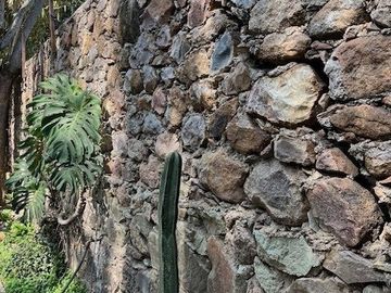CASA ANTIGUA EN MARFIL CON INCREIBLE JARDIN