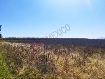 Terreno en Venta en Localidad Mina, Almoloya de Juárez. Pasando la Caseta Palmillas rumbo a Ixtlahuaca.