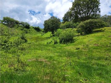 RANCHO EN VENTA EN VALLE DE BRAVO CON ARROYO