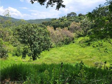 RANCHO EN VENTA EN VALLE DE BRAVO CON ARROYO