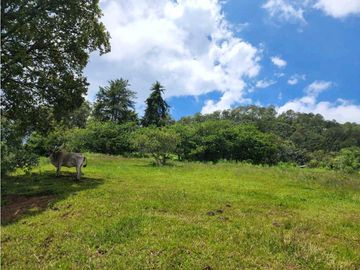RANCHO EN VENTA EN VALLE DE BRAVO CON ARROYO