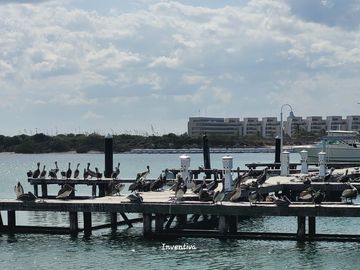 Casa FRENTE AL MAR en Venta, Telchac Yucatán