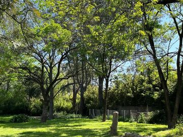 VENTA QUINTA 4 AMB, VILLA ROSA PILAR