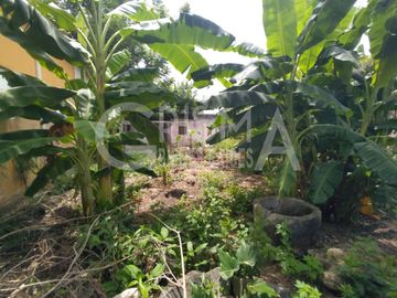 TERRENO EN VENTA EN COLONIA RUIZ CORTINES