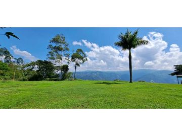 Vendo Finca en Amaga - Antioquia
