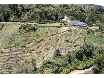 FINCA SONSON