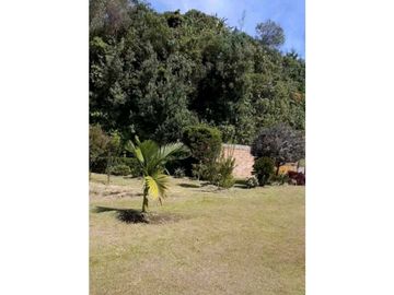 FINCA SONSON
