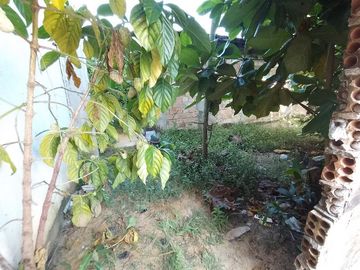 Amplio Terreno cerca a Av. Avelardo Quiñones - Loreto