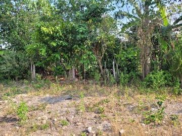 En venta amplia casa en Moyobamba-San Martín