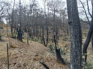 Se vende terreno en el  Pueblo Mágico, Mineral del Chico, Hidalgo