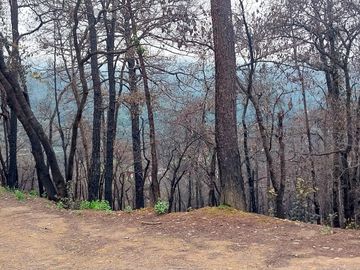 Se vende terreno en el  Pueblo Mágico, Mineral del Chico, Hidalgo