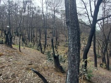 Se vende terreno en el  Pueblo Mágico, Mineral del Chico, Hidalgo