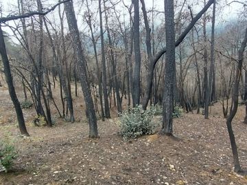 Se vende terreno en el  Pueblo Mágico, Mineral del Chico, Hidalgo