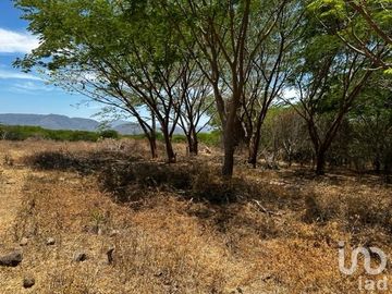 Terreno en Venta Palmillas Jalisco