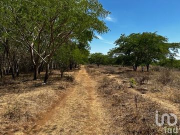 Terreno en Venta Palmillas Jalisco
